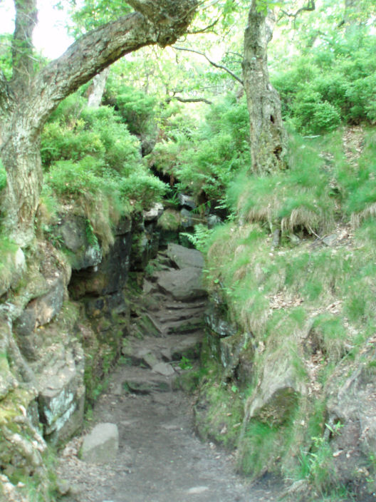 Lud's Church entrance Lud's Church entrance